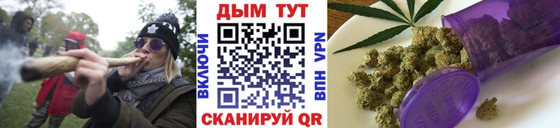 Купить закладку COCAIN  Alpha-PVP  Гашиш  Кетамин  МЕФ  Вилюйск