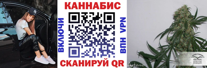 Купить где  Вилюйск  Бошки марихуана сатива 